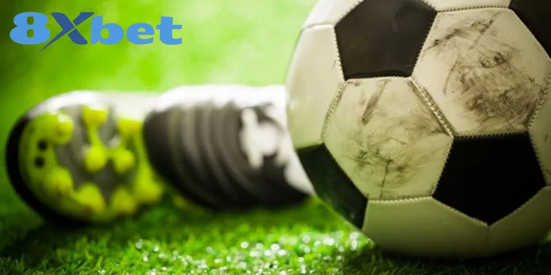 Lưu ý để tối ưu lợi nhuận khi đọc kèo Châu Á